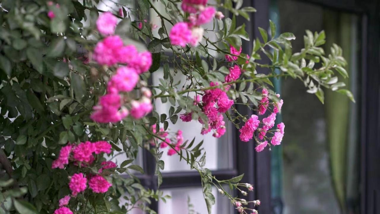 Encounter Garden Great Wall Holiday Guesthouse Beijing Exterior photo